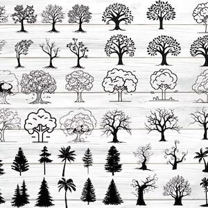 Baum Silhouette svg Bundle, Baum geschnitten Dateien für Cricut, Wald svg, Baum Clipart, schwarzer Baum svg, sofortiger Download