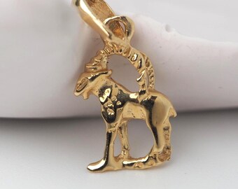 14K Gold Capricorn Zodiac Necklace, Astrology Pendant Charm Jewelry, Minimal Horoscope Capricorn Necklace Gift for Women, 14k Gold Jewelery