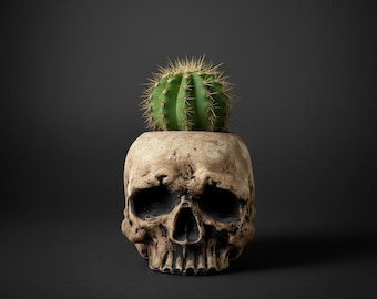 Ceramic Skull Planter, Gothic Home Decor, Succulent Pot with Drainage