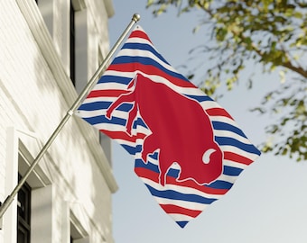 Buffalo Bills Flag 4 SIZES, Buffalo House Flag, Buffalo Football Fan, Football Lovers, Sports Fan Gift Bills Tailgate Flag