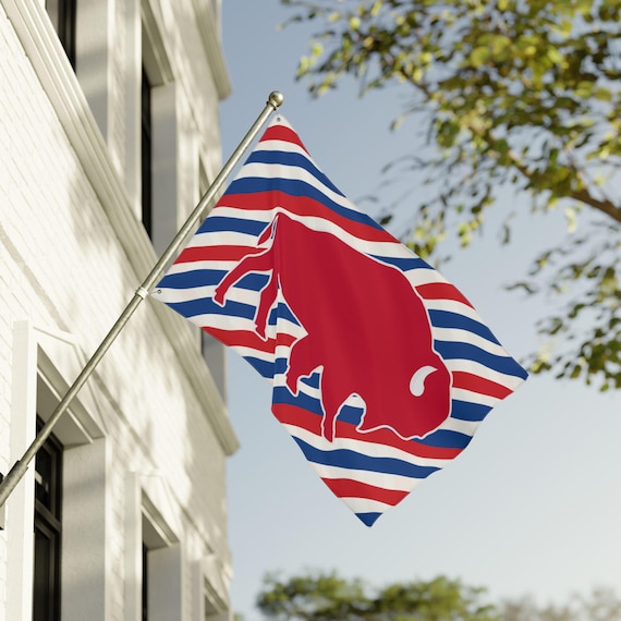 Buffalo Bills Flag 4 SIZES, Buffalo House Flag, Buffalo Football Fan, Football Lovers, Sports Fan Gift Bills Tailgate Flag