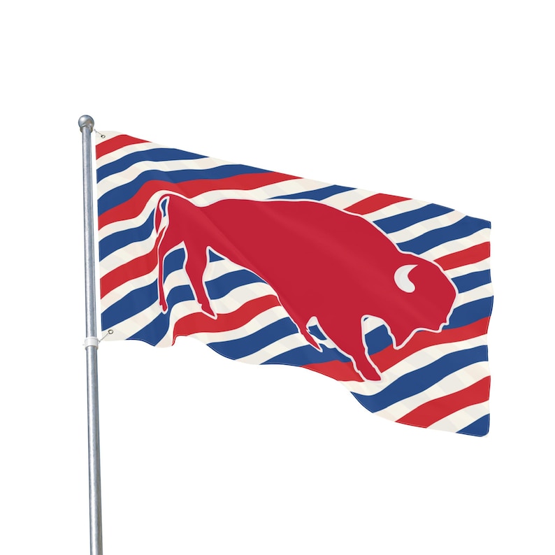 Buffalo Bills Flag 4 SIZES, Buffalo House Flag, Buffalo Football Fan, Football Lovers, Sports Fan Gift Bills Tailgate Flag image 4