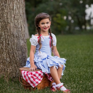 Dorothy Costume, Wizard of Oz Inspired Costume, Dorothy Dress, Blue Gingham Dress, Girls Halloween, Halloween Costume, Pageant Wear, OOC, Oz