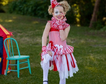 Circus Costume, Girls Circus Costume, Carnival Birthday Outfit, Circus Birthday Outfit, Circus Girl Costume, Girls Costume, Pageant Wear