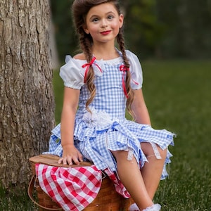 May include: A girl in a blue and white gingham dress with white sleeves and red bows in her hair. She sits on a picnic basket with a red and white checked cloth. The dress has a white flower accent. The image is from Sassy Lassy Couture.