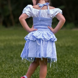 May include: A blue and white gingham dress with a white top and ruffled skirt. The dress has a bow at the neck and is paired with red sequined shoes. The dress is a costume.