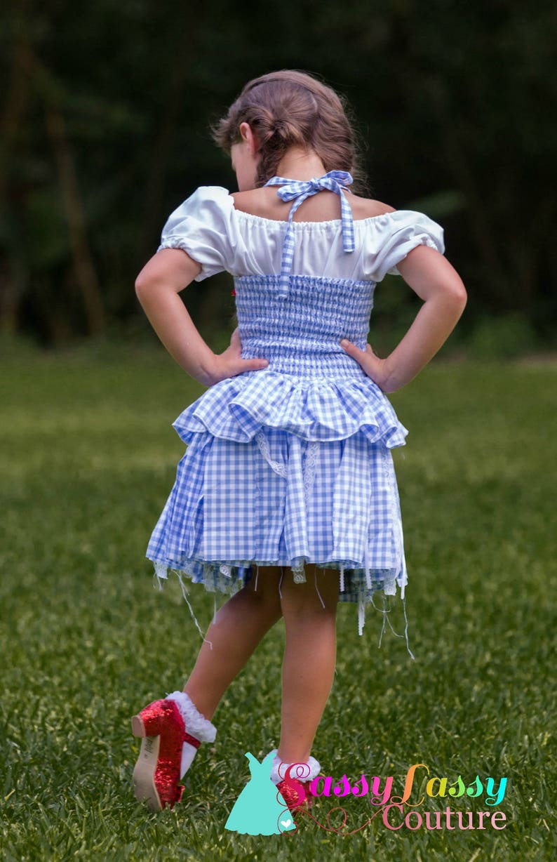 May include: A blue and white gingham dress with a white top and ruffled skirt. The dress has a bow at the neck and is paired with red sequined shoes. The dress is a costume.