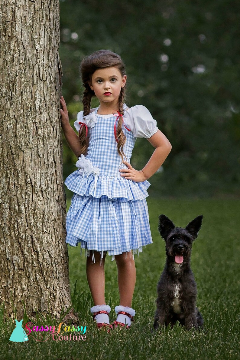 Dorothy Costume Wizard of Oz Inspired Costume Dorothy Dress Etsy