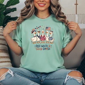 Silly Goose 4th of July DTF Transfer, Independence Day Iron On, Funny Patriotic Transfer