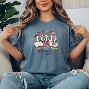 Silly Goose 4th of July DTF Transfer, Independence Day Iron On, Funny Patriotic Transfer