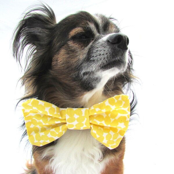 Clip on Dog Bowtie-Collar bowtie- Yellow Lemons
