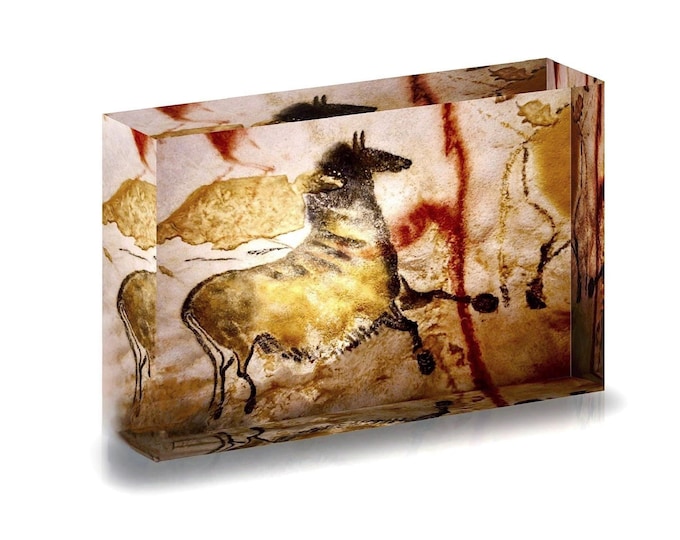 Giclee Print of Prehistoric Lascaux Cave Painting France displayed in acrylic block