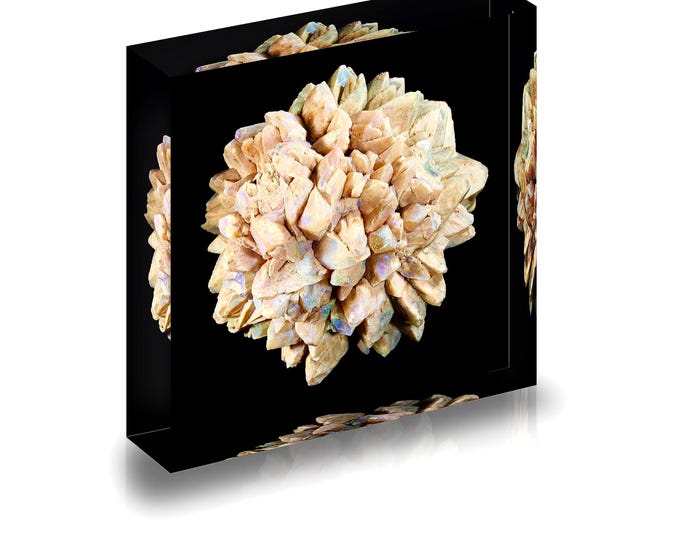 Print of  Opal “pineapple” displayed in acrylic block.