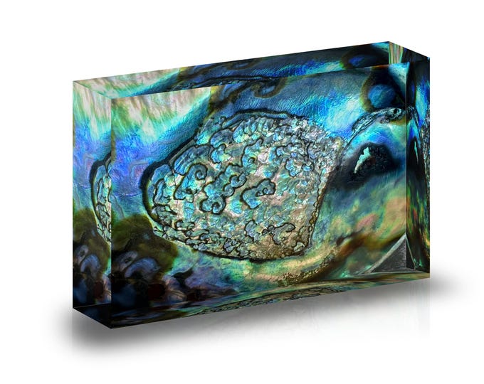 Print of Abalone shell interior for display in an acrylic block