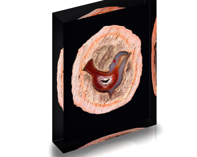 Giclee print of Bird-like Agate displayed in acrylic block