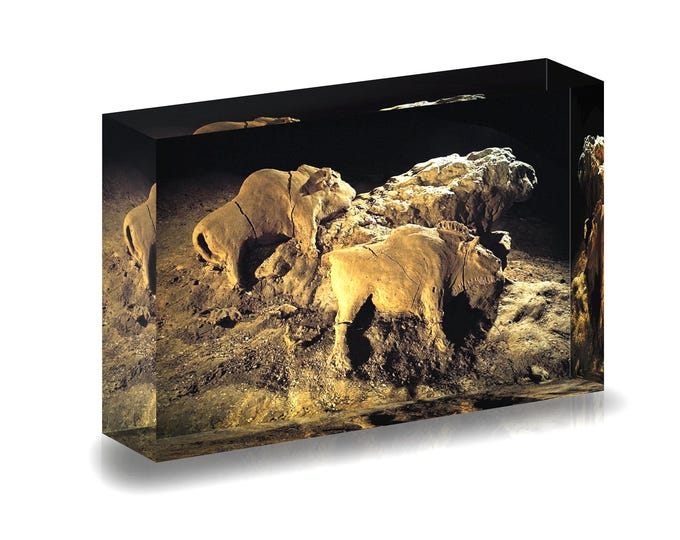 Giclee print of prehistoric cave art displayed in acrylic block.