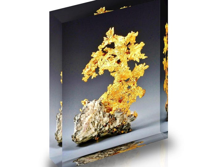 Print of Gold on bedrock of Quartz displayed in acrylic block.