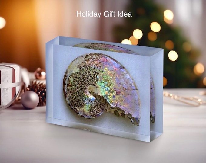 Giclee Print of Ammonite Fossil displayed in acrylic block