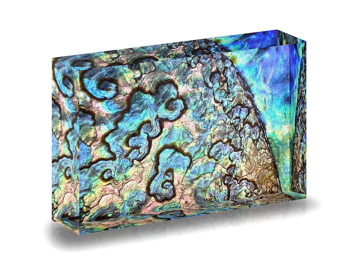 Print of Abalone Shell displayed in acrylic block.