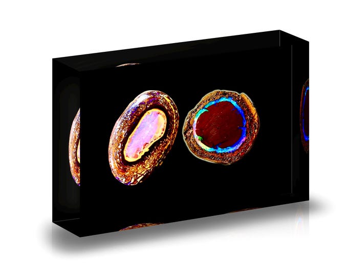 Giclee Print of Australian Yowah Opals displayed in acrylic block