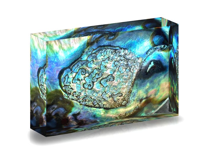 Print of Abalone shell interior for display in an acrylic block