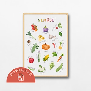 Póster de aprendizaje de verduras | Imprimir archivo A4 | Póster educativo | montessori | Niño y niña | Decoración de paredes | Habitación infantil | Sala de juegos