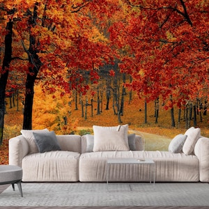 Carta da parati con sentiero nella foresta autunnale / Arte vibrante del fogliame autunnale / Decorazione rustica della natura / Murale staccabile e attaccabile