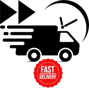 Expédition rapide, livraison express, USPS Priority Mail Express