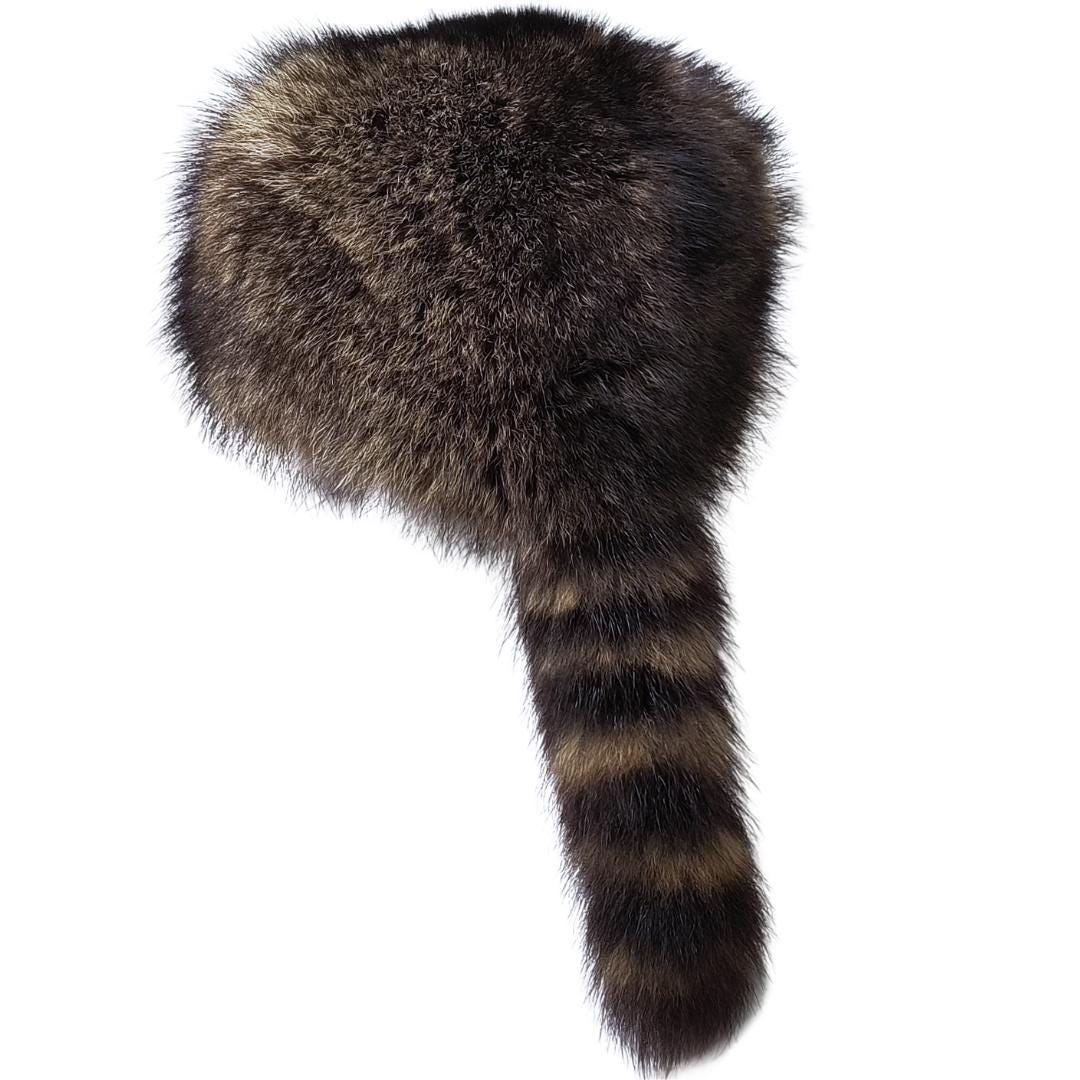 Sanfly Casquette De Queue De Raton Laveur Coupe-Vent, Ronde Plate, Chapeau d'hiver Chaud Épais en Peluche, Chapeau De Raton Laveur Classique, Chapeau De Ski pour Hommes Femmes Sanfly Casquette De Queue De Raton Laveur Coupe-Vent, Ronde Plate, Chapeau d'hiver Chaud Épais en Peluche, Chapeau De Raton Laveur Classique, Chapeau De Ski pour Hommes Femmes