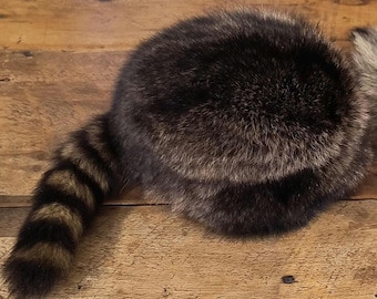 アライグマ捕獲者帽子、ネブラスカアライグマ帽子、豪華なアライグマ