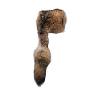 Coyote hat, real coyote fur cap, fits all adults. Christmas gift for boys or men.