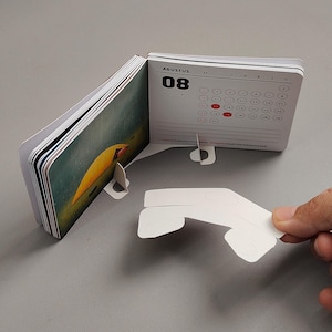 May include: A small, open desk calendar for August 2026, with a white stand. The calendar pages display a colorful image on the left side and the month's days on the right. The stand is white and has a unique design.