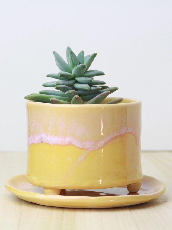Sunshine yellow planter with drainage holes and matching saucer. subtle drippy pink glaze.