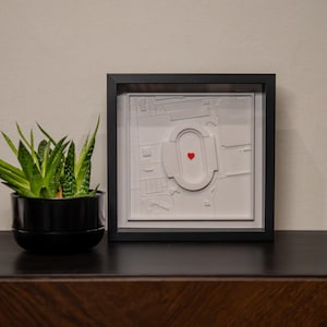 Calcio/NFL! Stadio che preferisci, mappa 3D, stadio preferito sulla tua bacheca! La tua squadra preferita!