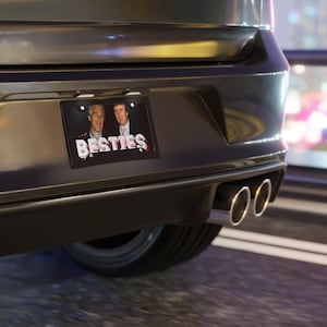 Placa de matrícula de Trump Epstein - BESTIES - Divertida placa de aluminio para coche, regalo satírico sobre el encubrimiento de Epstein imagen 4