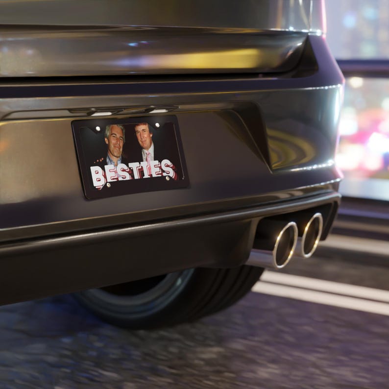 Placa de matrícula de Trump Epstein - BESTIES - Divertida placa de aluminio para coche, regalo satírico sobre el encubrimiento de Epstein imagen 4