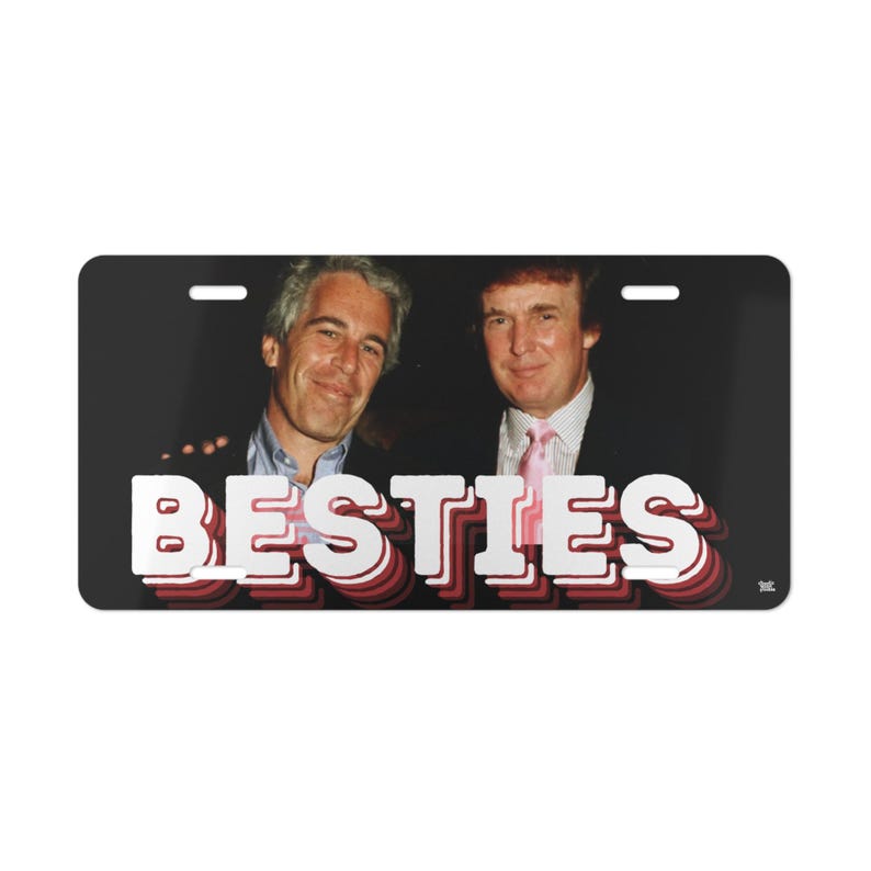 Placa de matrícula de Trump Epstein - BESTIES - Divertida placa de aluminio para coche, regalo satírico sobre el encubrimiento de Epstein imagen 2
