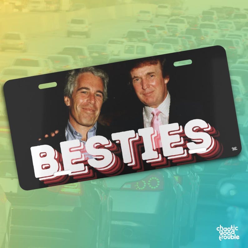 Placa de matrícula de Trump Epstein - BESTIES - Divertida placa de aluminio para coche, regalo satírico sobre el encubrimiento de Epstein imagen 1