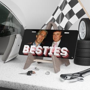 Placa de matrícula de Trump Epstein - BESTIES - Divertida placa de aluminio para coche, regalo satírico sobre el encubrimiento de Epstein imagen 5