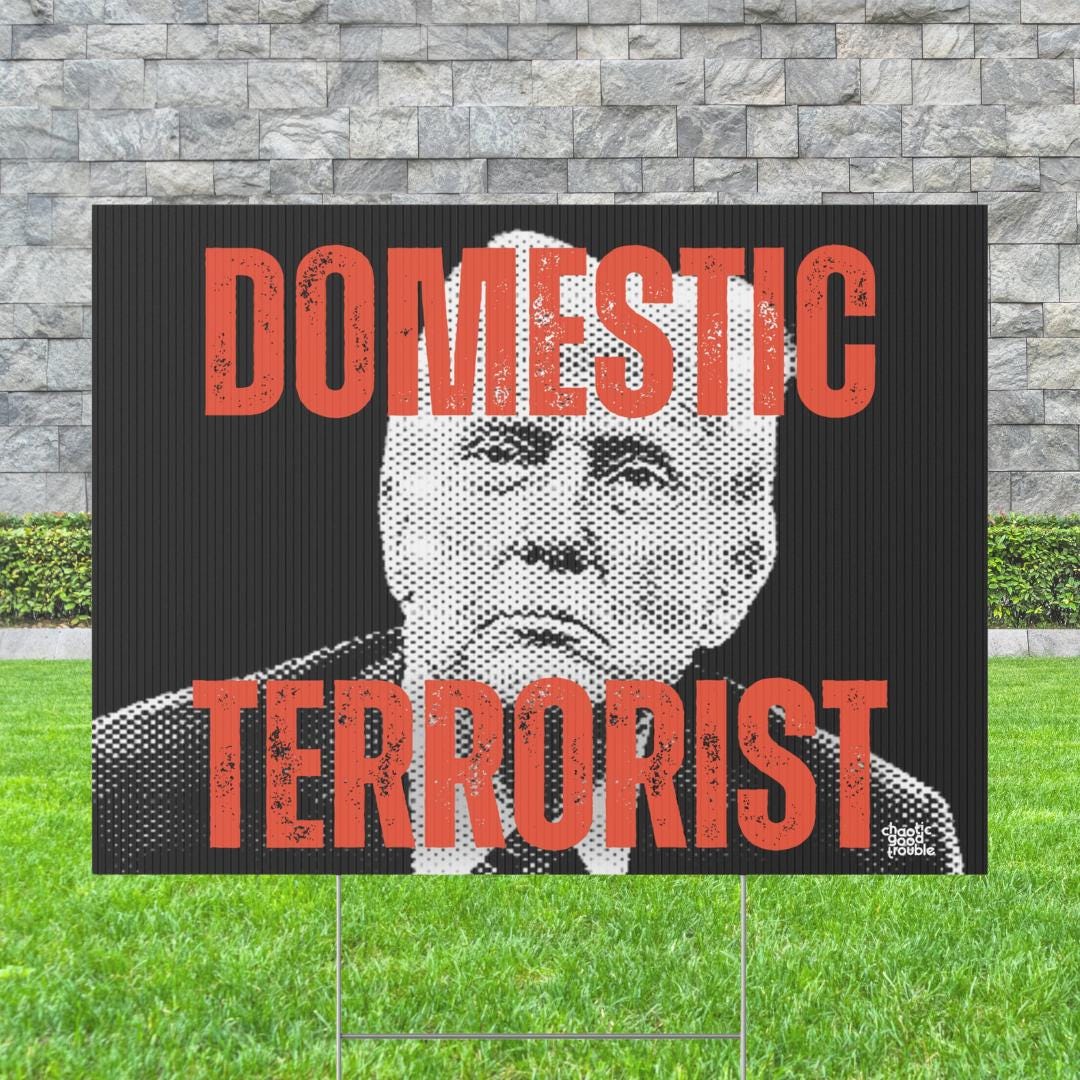 Domestic Terror*st in Chief yard sign, antifascist sign, anti-authoritarianism sign, political protest sign