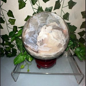 May include: A large, clear crystal ball with white and tan internal patterns, resting on a dark red wooden stand. The stand sits on a clear acrylic display shelf. Green foliage is visible in the background.