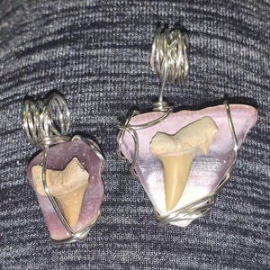 Shark Tooth Shell Pendent