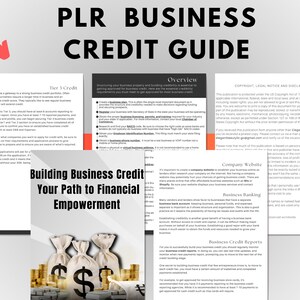 PLR Business Credit Guide, Business Credit PLR Template, Business Credit Lead Magnet, Private Label Business Credit Ebook Template, for you