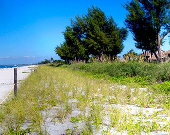 Panorama : Captiva Island Cottages at the Beach