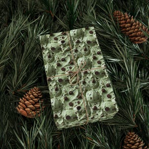 Inpakpapier muntchocoladeroomijs, cadeauverpakking mintchocoladeschilfer, patroon mintroomijs, geschenkverpakking mintroomijs, chocoladeschilfer muntroomijs afbeelding 9