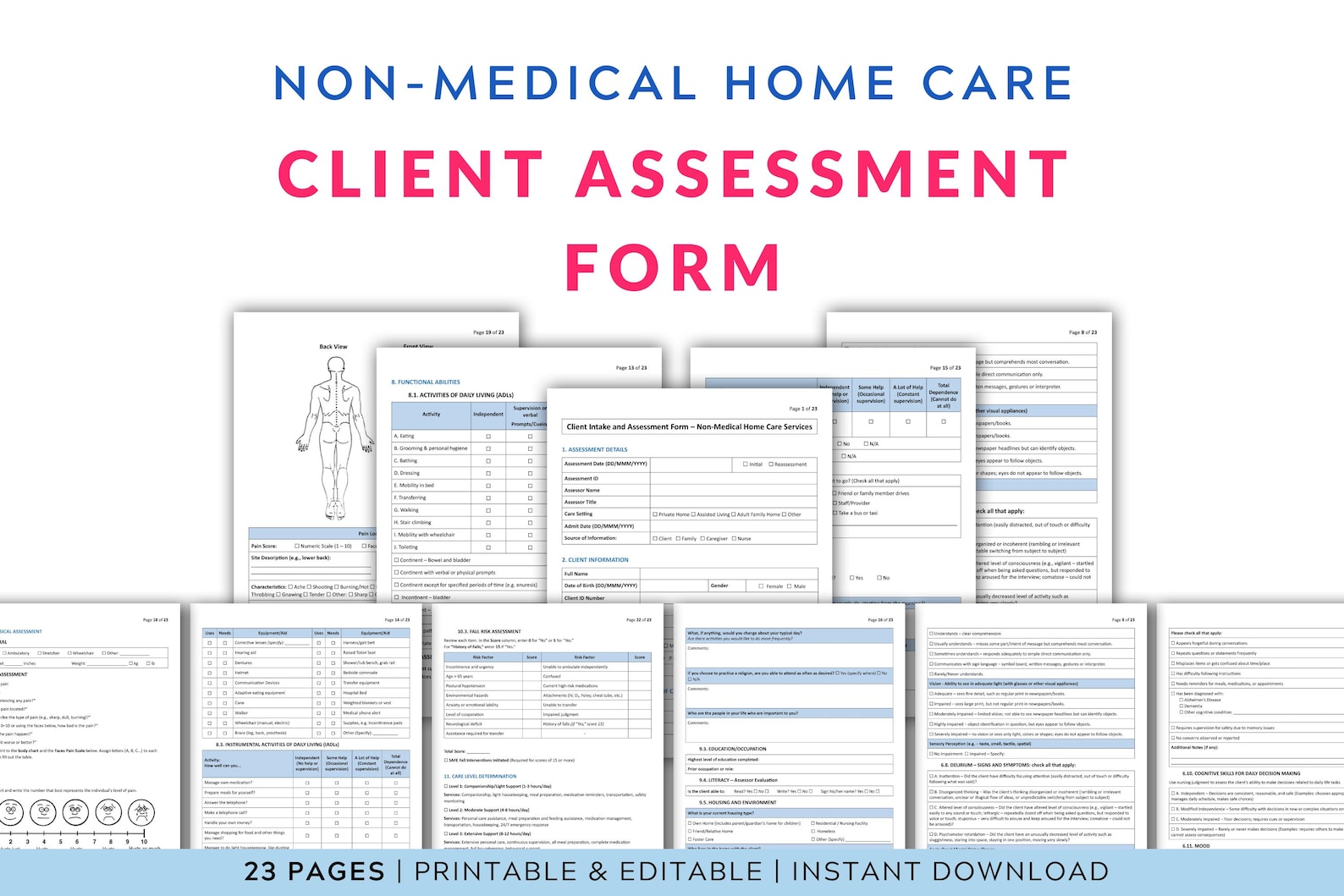 Home Care Client Assessment Form: Editable and Printable Template - Etsy