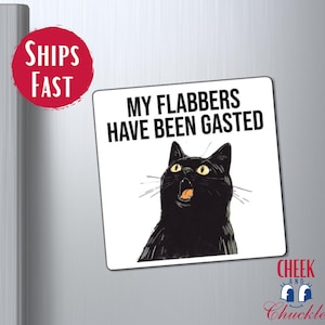 Funny Cat Magnet Humor Kitchen Decor For Cat Lovers Gift Cat Themed Accessories Witty Quotes Sarcasm Gifts For Friend Cute Black Cat Magnet