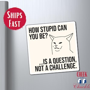 Sarcastic Cat Magnet, Cat Lover Gifts, Funny Cat Gift, Coworker Rude Gift, Gift For Friend, Birthday Gift, Fridge Decor, Gag Gift Magnet