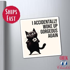 Cute Cat Fridge Magnet Funny Quote Gift For Cat Lovers Black Cat Decal Kitchen Decor Funny Gifts For Friend Sarcastic Magnets Quirky Cats