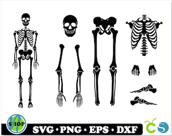 Skeleton Parts SVG, Skeleton svg, Skeleton Bones parts svg, Halloween svg, Skeleton Part svg, Skeleton Cricut Cut Files, Skeleton Cut Files